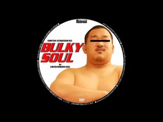 bulky soul stg pd003